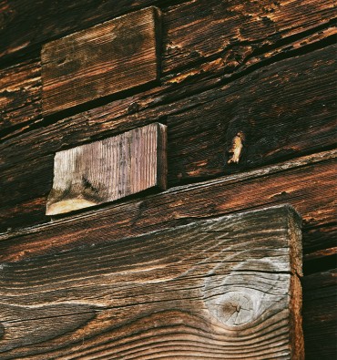 mobalpa sarah poniatowski