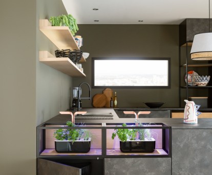 potager intérieur cuisine