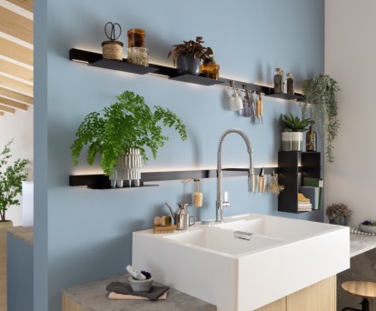 credence cuisine plantes
