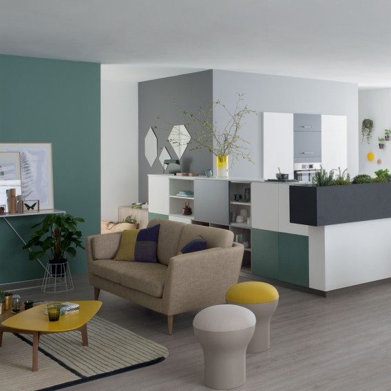 salon et cuisine ouverte